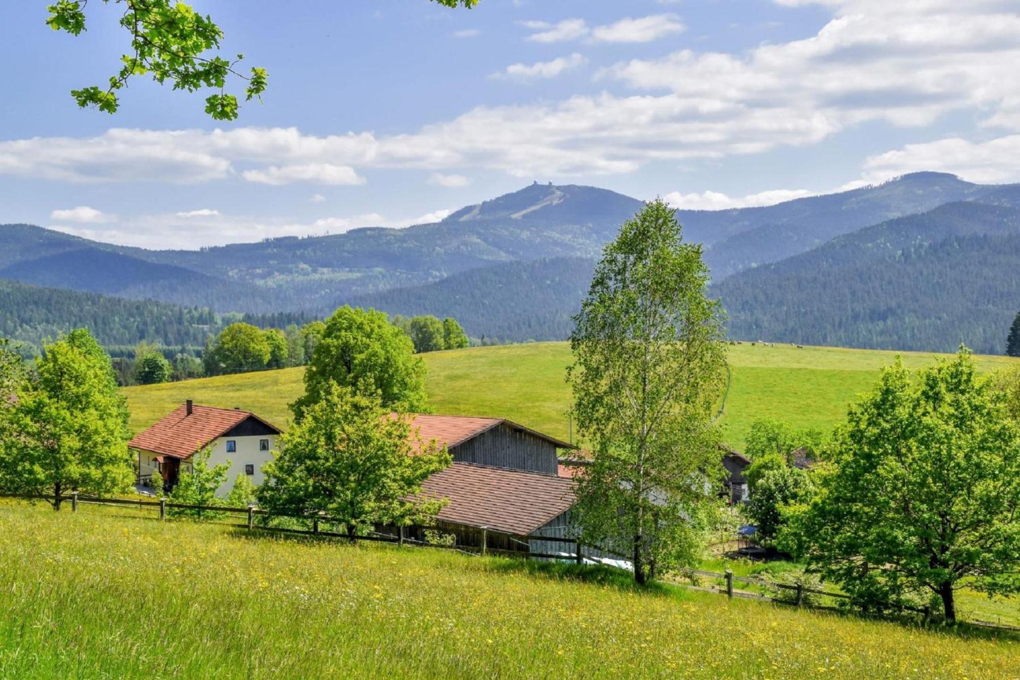 Villa Urlaub auf dem Haberlhof Lohberg Exterior foto